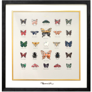 Картина Дамира Кривенко "Коллекция бабочек XXI"