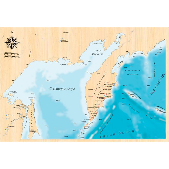 Карта Камчатского края из дерева, на заказ