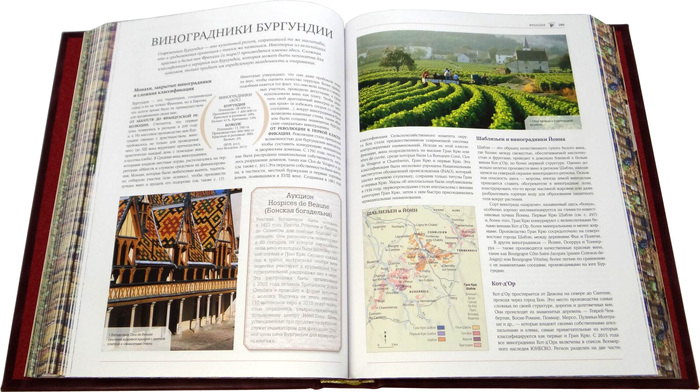 Книга "Ларусс. Вино. Энциклопедия"