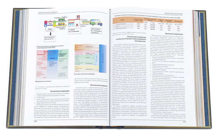 Подарочная книга в кожаном переплете "Энергия будущего"
