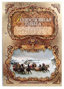 Родословная книга "Гербовая" в картонной коробке
