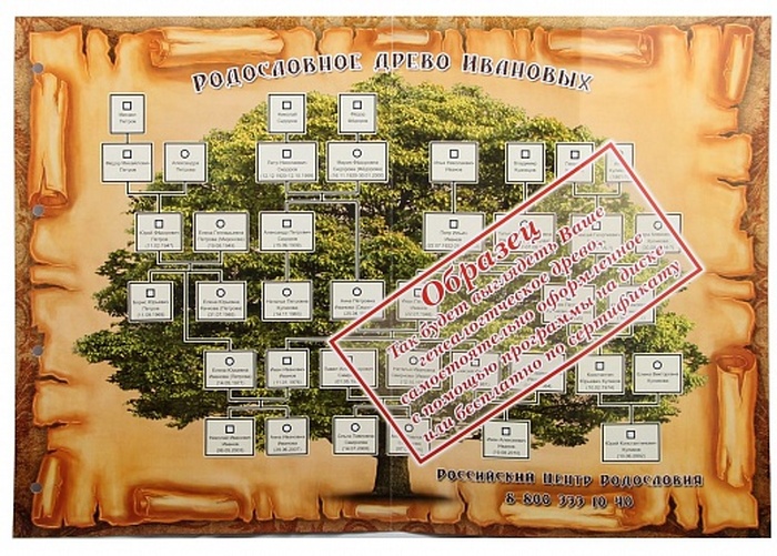 Родословная книга "Гербовая" в картонной коробке