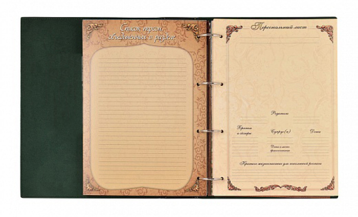 Родословная книга Мусульманская "Мечеть" в  подарочной коробке