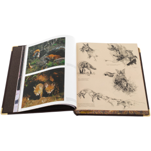 Подарочная книга в коробе "Курт Блюхель: Охота"