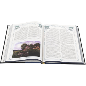 Подарочный набор с книгой и панно "Дикий судак"