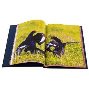 Подарочная книга в кожаном переплете "Охота на боровую дичь"
