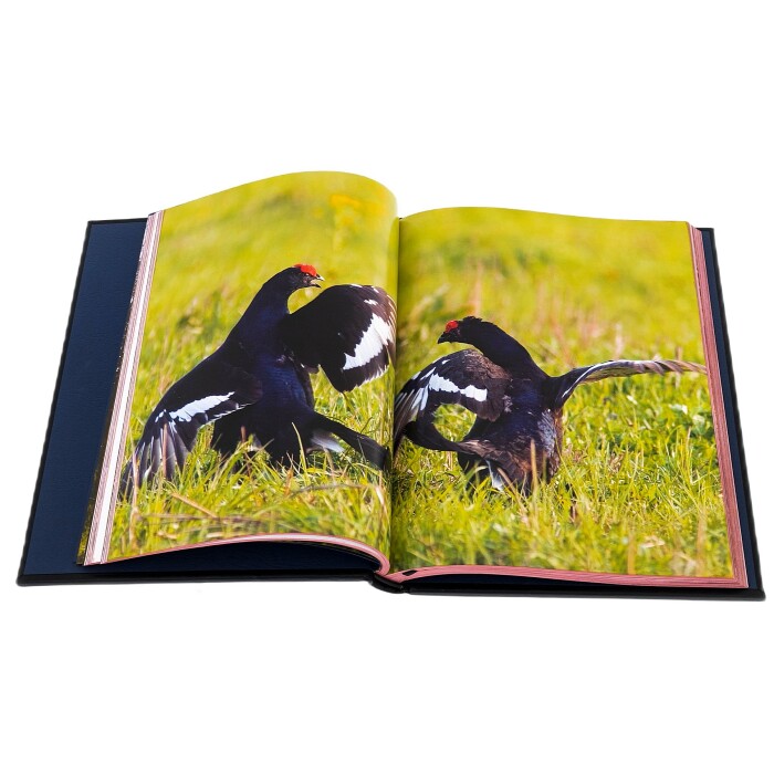 Подарочная книга в кожаном переплете "Охота на боровую дичь"