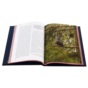 Подарочная книга в кожаном переплете "Охота на боровую дичь"