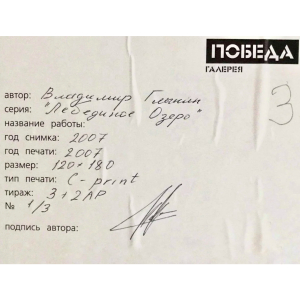 Художественный фотоснимок из серии «Лебединое озеро» с автографом Владимира Глынина