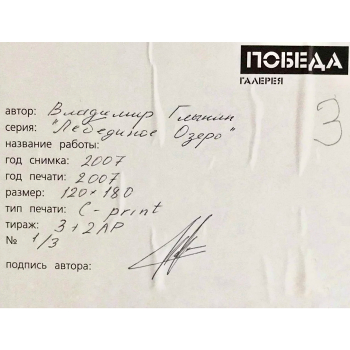 Художественный фотоснимок из серии «Лебединое озеро» с автографом Владимира Глынина