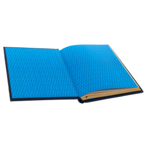 The leather-bound book "The Tales of H.K. Andersen"