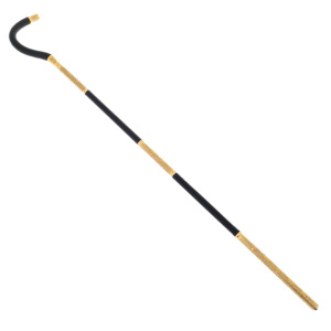 Cane "Status" Zlatoust