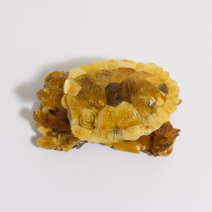 Souvenir box made of amber "Turtle"