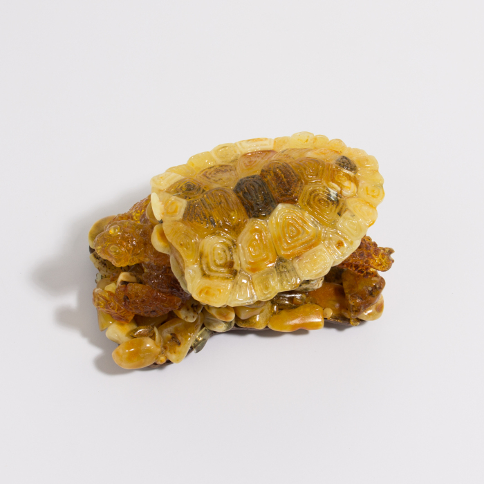 Souvenir box made of amber "Turtle"