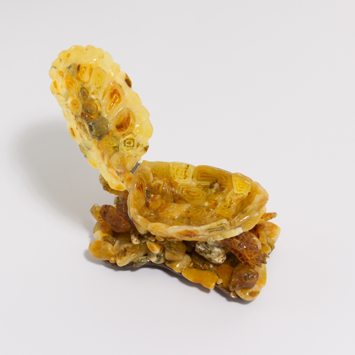 Souvenir box made of amber "Turtle"