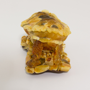Souvenir box made of amber "Turtle"