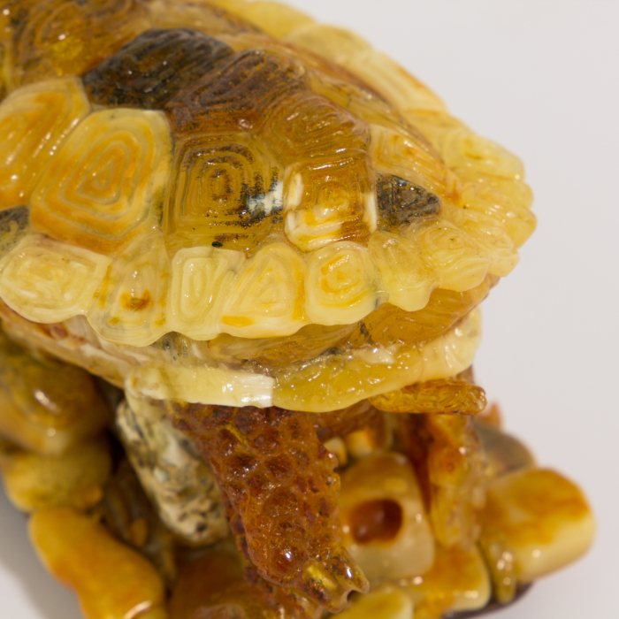 Souvenir box made of amber "Turtle"