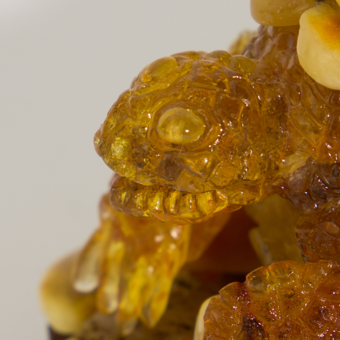 Souvenir box made of amber "Turtle"
